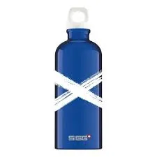 Sigg Traveller Water Bottle